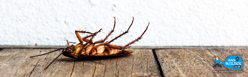 Pest Prevention Tips Pest Prevention Tips